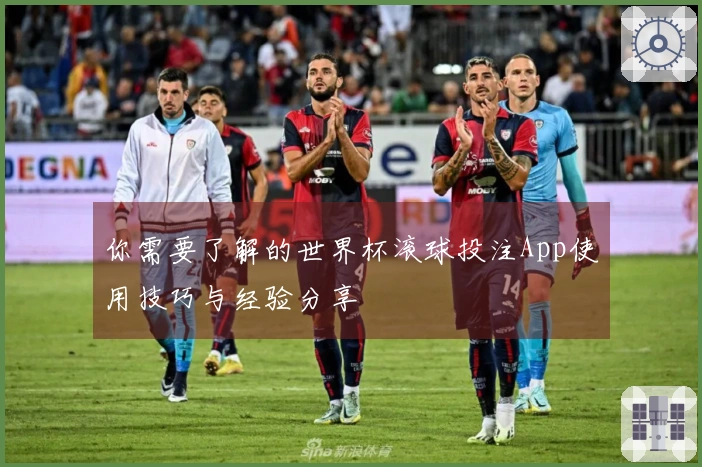 你需要了解的世界杯滚球投注App使用技巧与经验分享