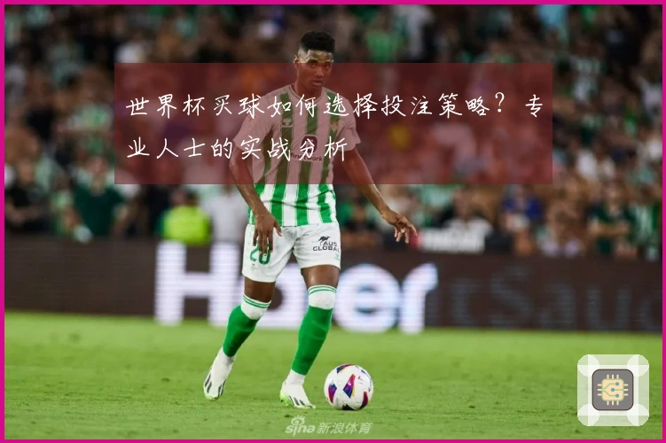 世界杯买球如何选择投注策略？专业人士的实战分析