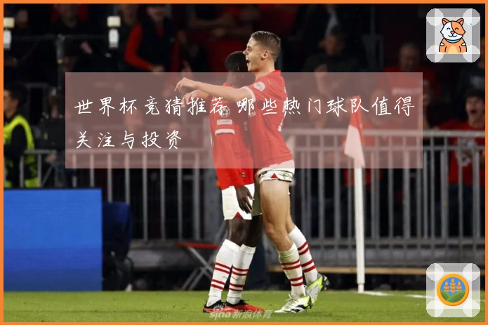 世界杯竞猜推荐 哪些热门球队值得关注与投资