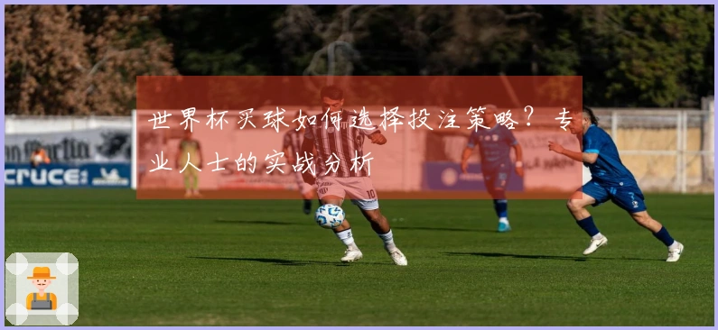 世界杯买球如何选择投注策略？专业人士的实战分析