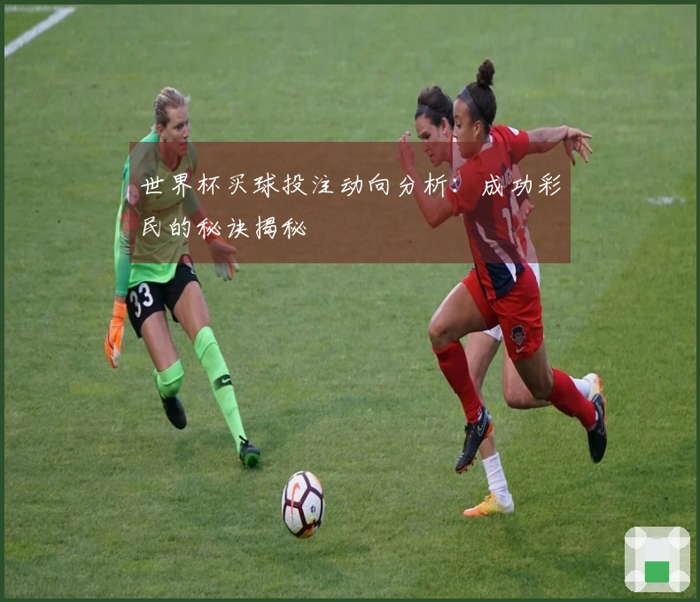 世界杯买球投注动向分析：成功彩民的秘诀揭秘