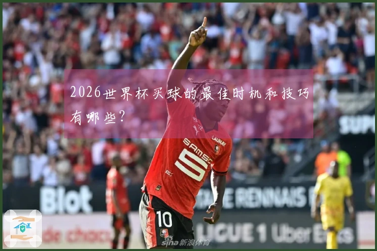 2026世界杯买球的最佳时机和技巧有哪些？
