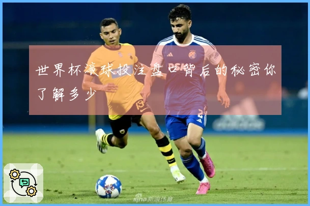 世界杯滚球投注盘口背后的秘密你了解多少