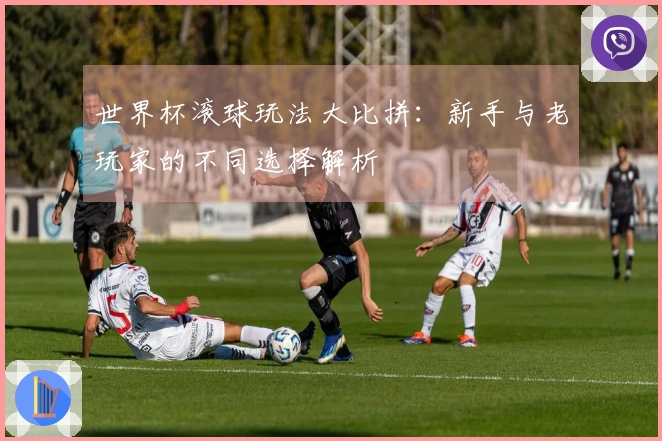 世界杯滚球玩法大比拼：新手与老玩家的不同选择解析