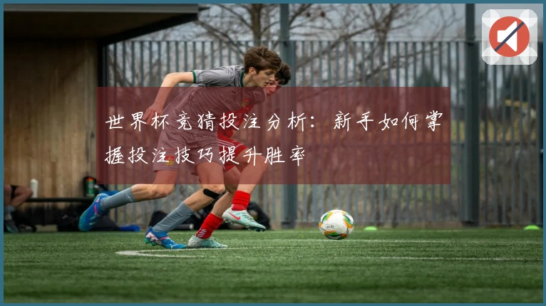 世界杯竞猜投注分析：新手如何掌握投注技巧提升胜率
